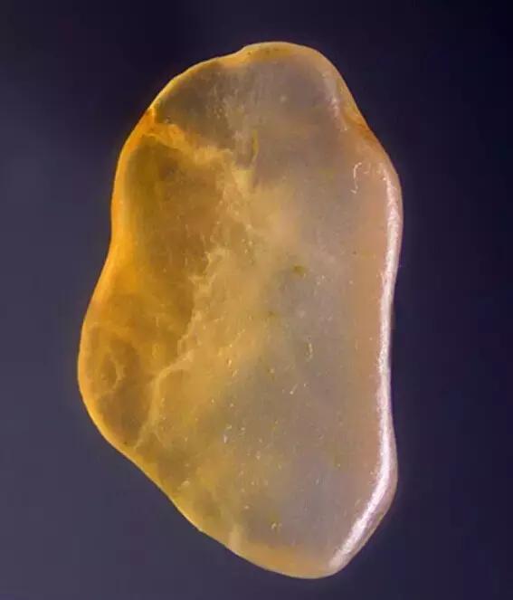 天然黄焦胶花水晶 2026年黄胶花水晶是什么 天然黄焦胶花水晶 2026年黄胶花水晶是什么