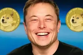 币圈“狗屎”齐飞图片