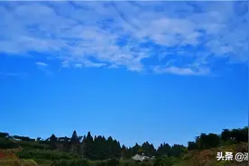 走，挖笋去！带你品尝潼南春天的味道！！（附视频）图片