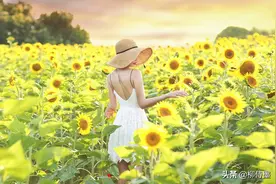 拍摄向日葵人像的时刻，避开这些摄影误区，留下美丽倩影图片
