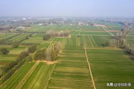 河南省一片绿油油，邻近的皖西北到处灰蒙蒙：差别太大了图片