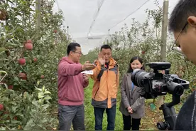 全网阅读量1200万！昭通“丑”苹果为何能惊艳四座，看这场直播你就懂了图片