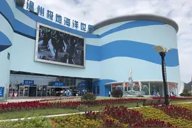 温州极地海洋世界游玩记图片