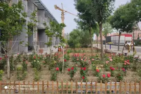 坐标回天，家门口又开了一家养老院图片