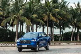 柴油机+ZF 8AT的皮卡？能给到的长城炮都给你图片