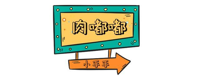 花胶怎样煲崔奶 2026年花胶炖奶窍门