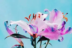 教龄工资不是教龄津贴，看你薪级工资19级以上的教龄工资是多少？图片