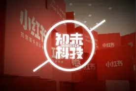 种的草还是挖的坑？流量焦虑下的小红书未来几何图片