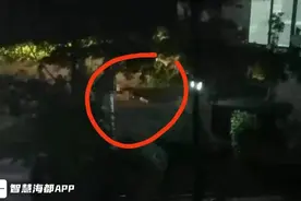 福州一男子自30楼坠落，不幸身亡图片
