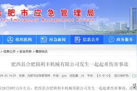 1人死亡！合肥锦利丰机械有限公司发生一起起重伤害事故图片
