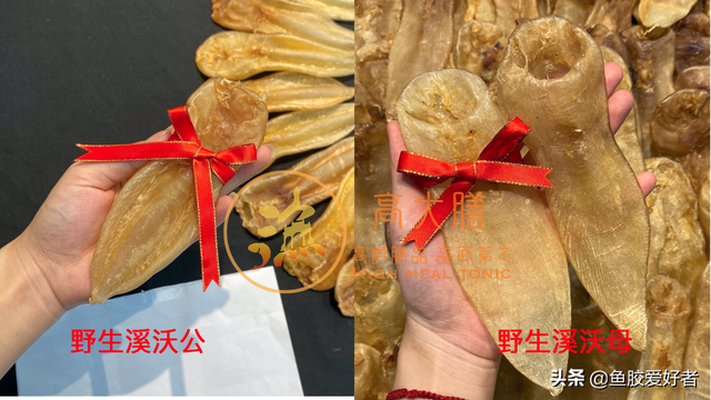 白花胶和黄花胶的区别 2026年白花胶和黄花胶的区别是什么