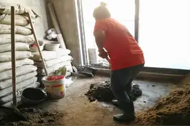 粉墙抹灰中掺了“砂浆王”就是在“毁墙、毁瓷砖”，这是真的吗？图片