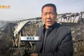 大棚被烧毁 损失谁来赔偿？图片