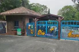 饲养员遭老虎咬死，此前还有海象“杀人”！谁为悲剧买单？我们请来了律师图片