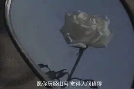 不要放低自己，爱你的人会主动找你图片