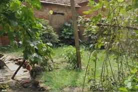 雨过天晴“蛇出洞”！江苏一老奶奶家发现1.5米大蛇，啥情况？图片