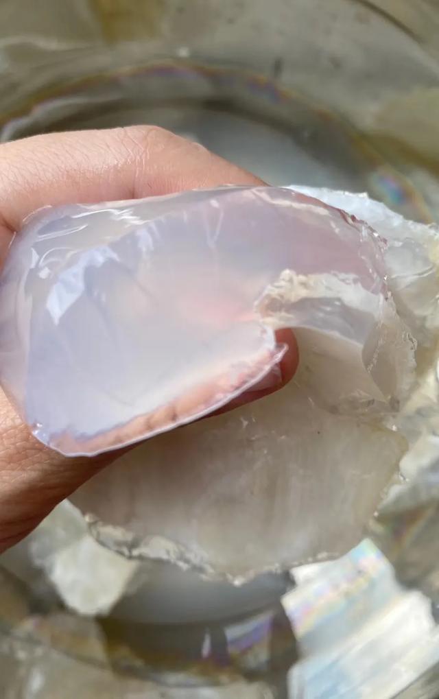 如何泡发蝴蝶花胶 2026年如何泡发蝴蝶花胶窍门