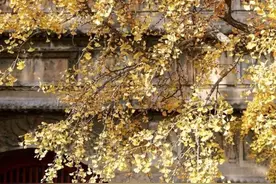 北京11家博物馆·免费参观攻略图片