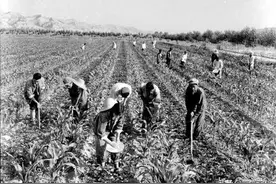 70年代农民的月收入30元钱，相当于现在多少钱，你接受吗？图片