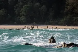 北森提奈岛——地球最后的禁区，人类从未踏足的宝地图片