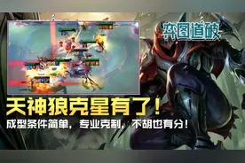 云顶之弈杀破狼！夜影忍者劫成型简单专业遛狗天神狼图片