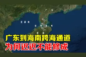 没钱还是没技术？10年前广东海南跨海通道，怎么说停就停？图片