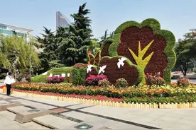 五一来石家庄赏花！40余种月季打造人民广场和西清公园“月季花展”，51万余盆花卉装扮14个市属公园广场图片