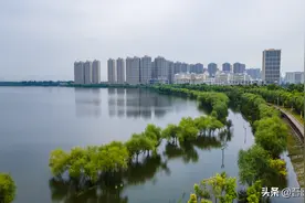 纠结！一条让燕郊人爱恨交加的潮白河，爱也潮白河，恨也潮白河图片