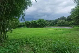 身上的味道与命运图片