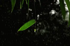 古人诗中好听的雨名，渭城朝雨浥轻尘，客舍青青柳色新。图片