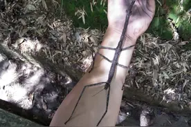 罕见！福建多地发现珍稀物种图片