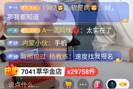 网红经济看辛巴图片