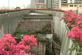 广州“桥中房”事件住户发声 当地住建局回应来龙去脉图片