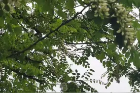 昨天三哥因心梗离世，才56岁——人到中年，一定要知道这些图片