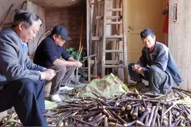 焦村镇贫困户一杆竹子“吃”到底图片
