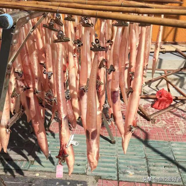 苏里南花胶价格 2026年苏里南鱼胶好不好