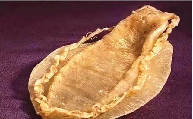 极品鱼胶价格 2026年极品鱼胶多少钱一斤