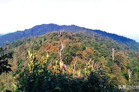 你不知道的贵州 | 一道美食：泡辣椒图片