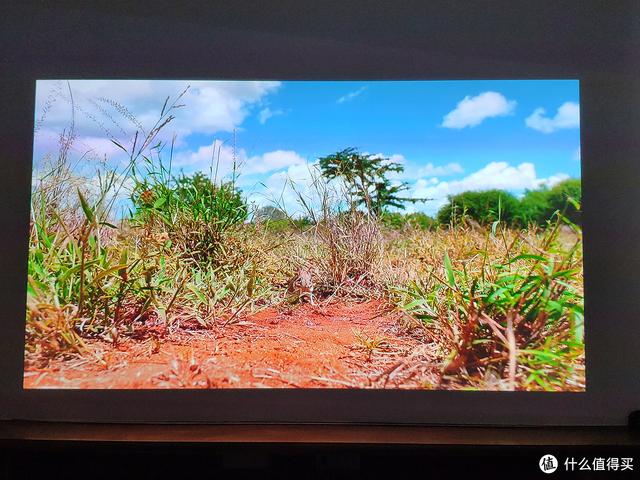 你以为是墙？不！它是电视机！投影入门：画卷幕布菲斯特S1测评