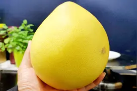 柚子雕刻过程分享，看这运刀就知道是个老手！