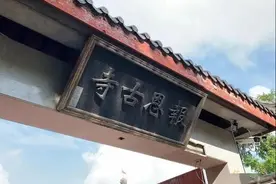 不务正业的和尚，和他4000只流浪猫狗，正以另一种方式修行图片