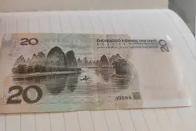 家里常见的20元纸币，近几年找到新版别，一张能上千图片