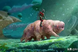 零下180度能活15天，在太空中还能产崽，水熊虫生命力的奥秘图片