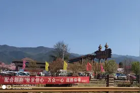 常宁百万樱花园自驾游攻略图片