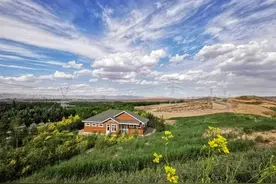 小康路上的农科印记 | 葡萄“爬”上了“丰收架”图片