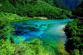 先预约 后出行！一文get√门票预约全流程！图片