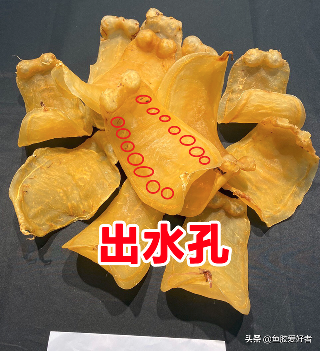 白鳘赤嘴鱼胶 2026年白鳘赤嘴鱼胶的功效