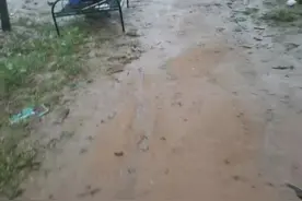 男子投入近百万返乡创业，建的养牛场突然被拆！相关部门：用地为基本农田，必须拆图片