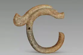 说说龙是怎么来的？图片