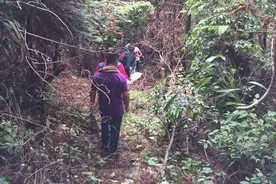 徒步天然氧吧无人区野道～金龙山环线穿越～行摄沿途风景图片